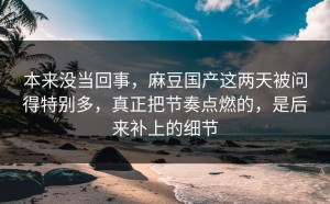 本来没当回事，麻豆国产这两天被问得特别多，真正把节奏点燃的，是后来补上的细节