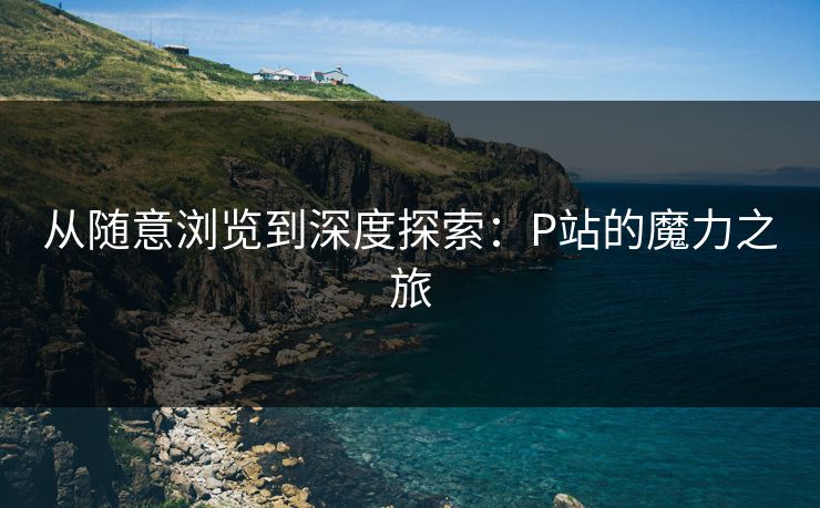 从随意浏览到深度探索：P站的魔力之旅