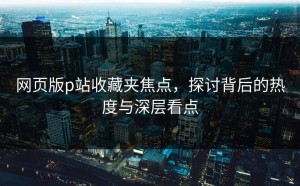 网页版p站收藏夹焦点，探讨背后的热度与深层看点