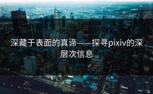 深藏于表面的真谛——探寻pixiv的深层次信息