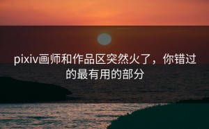 pixiv画师和作品区突然火了，你错过的最有用的部分