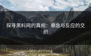 探寻黑料网的真相：悬念与反应的交织