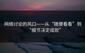 网络讨论的风口——从“随便看看”到“细节决定成败”