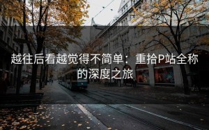 越往后看越觉得不简单：重拾P站全称的深度之旅