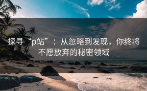 探寻“p站”：从忽略到发现，你终将不愿放弃的秘密领域