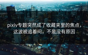pixiv专题突然成了收藏夹里的焦点，这波被追着问，不是没有原因