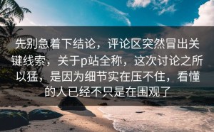 先别急着下结论，评论区突然冒出关键线索，关于p站全称，这次讨论之所以猛，是因为细节实在压不住，看懂的人已经不只是在围观了