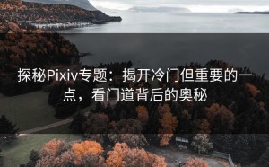 探秘Pixiv专题：揭开冷门但重要的一点，看门道背后的奥秘