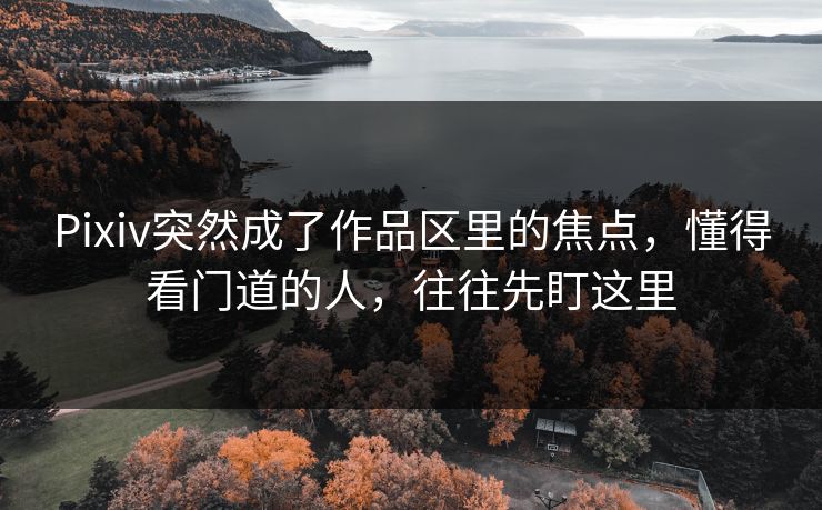 Pixiv突然成了作品区里的焦点，懂得看门道的人，往往先盯这里