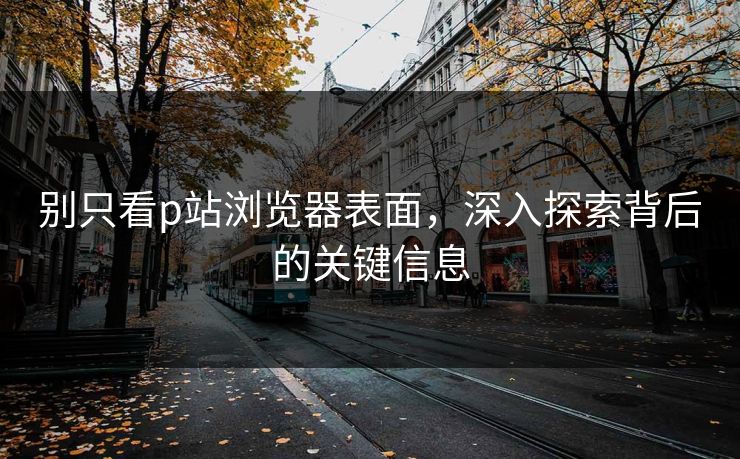 别只看p站浏览器表面,深入探索背后的关键信息 别只看p站浏览器表面,深入探索背后的关键信息